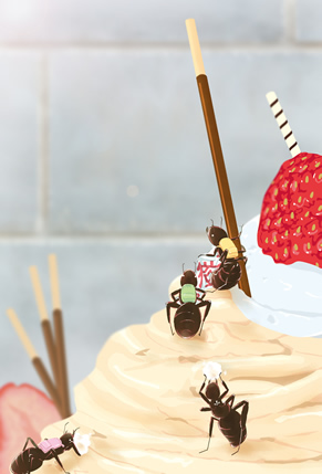 ケーキ&登山　柏木彬