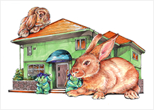 家&うさぎ小屋 森順子