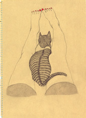 猫&生足 岩崎瑞穂