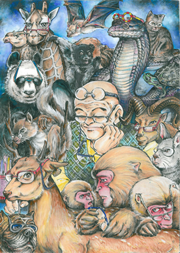 めがね&妄想 荒ふしぎ