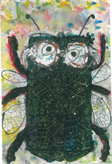 めがね&とんぼ 伊沢信人