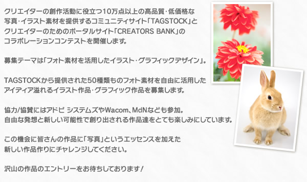 コンテスト概要