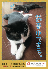 ニャンズも節電中ですニャ。